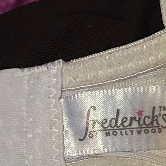 Frederick's of Hollywood Shimmering Silver Bra - Picture 4 of 4